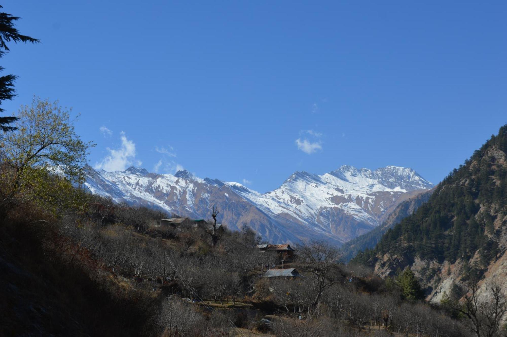 Laxmi Narayan Homestay-Harshil Harsil 외부 사진