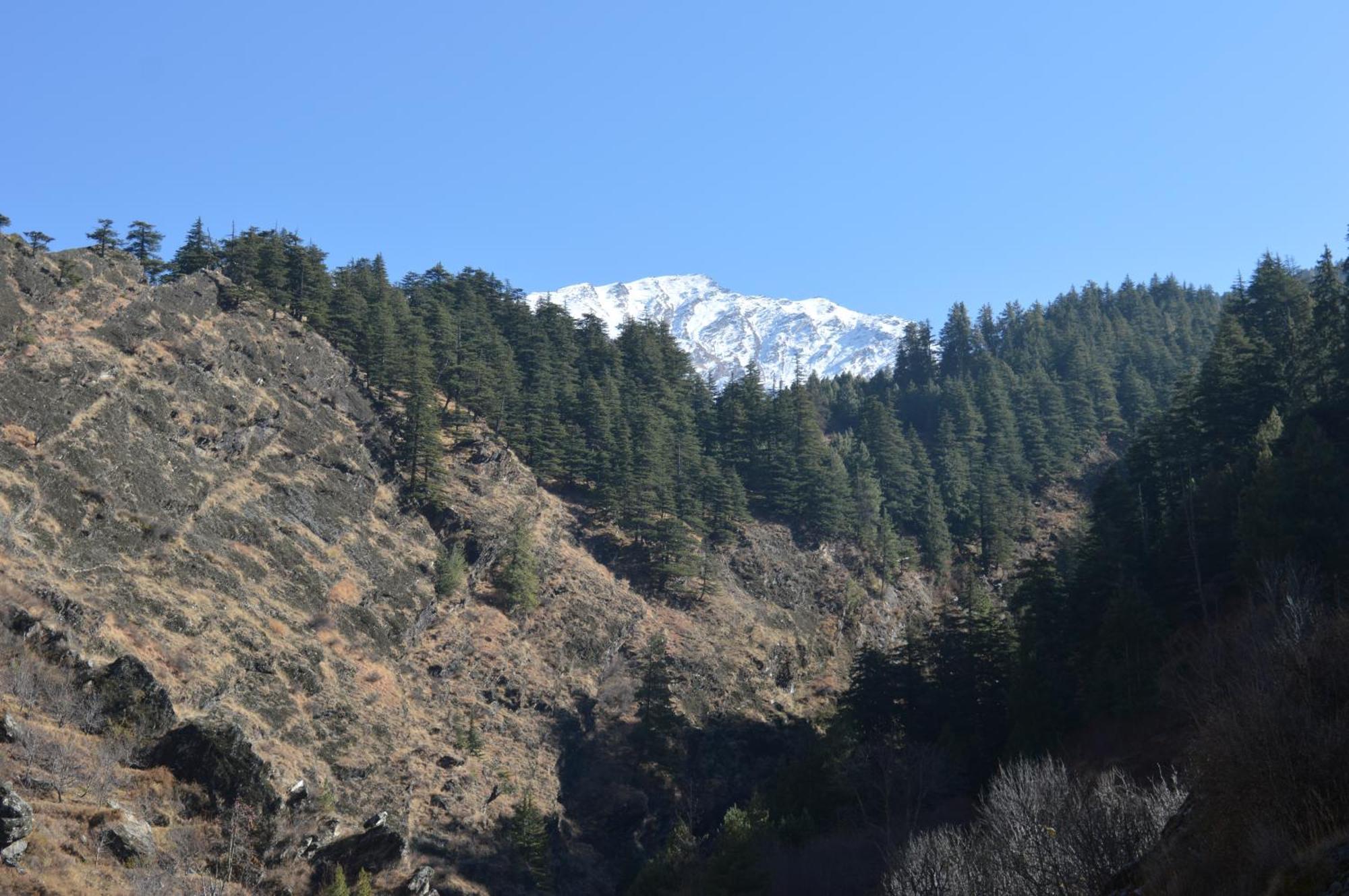 Laxmi Narayan Homestay-Harshil Harsil 외부 사진