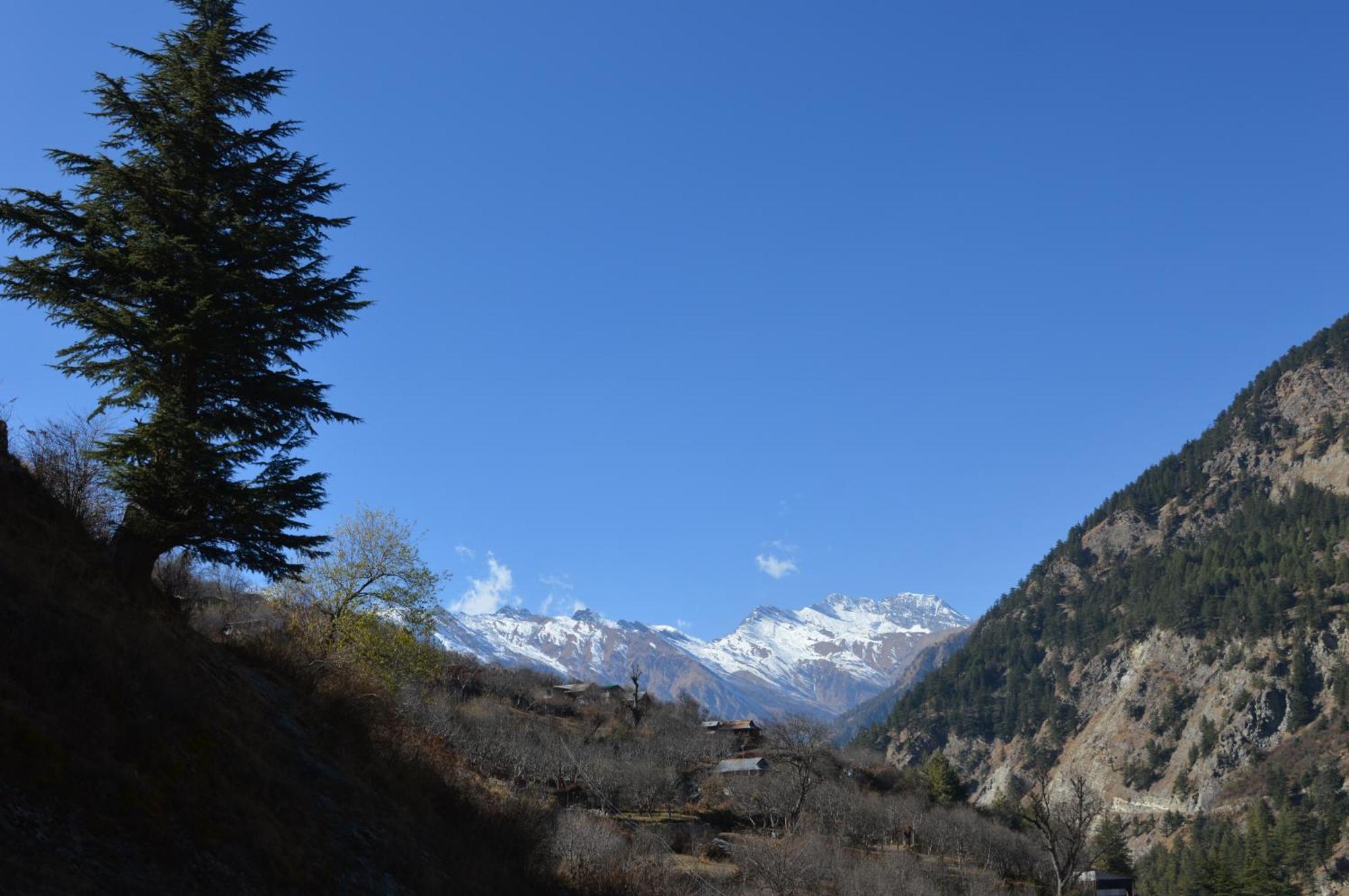 Laxmi Narayan Homestay-Harshil Harsil 외부 사진